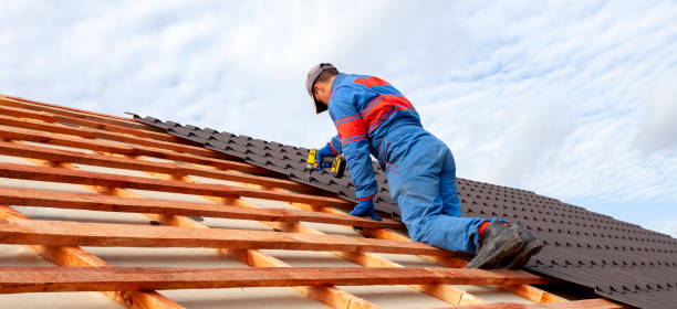 Steel Roofing in Seminole Manor, FL